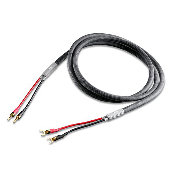 AVComfort, SHUNYATA RESEARCH Venom SP Banana 2,0 m