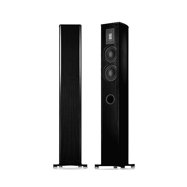 Piega Premium 501 Wireless AB
