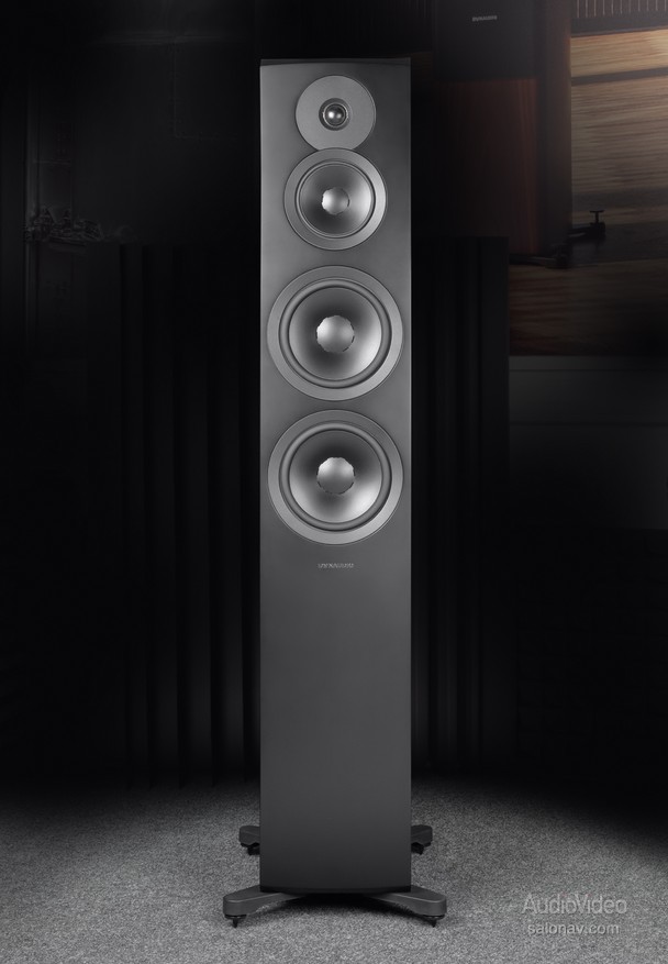 Dynaudio_Emit_50_02.jpg