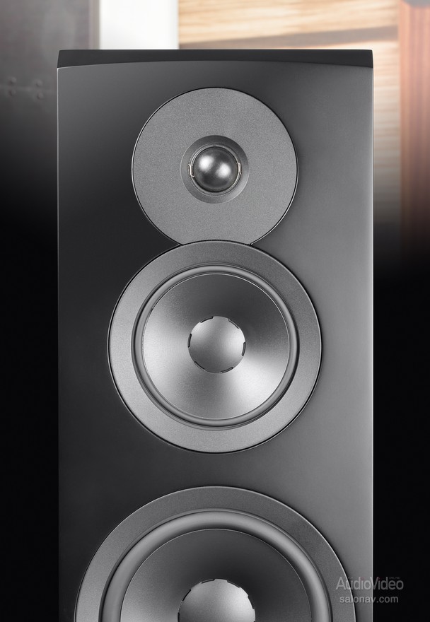 Dynaudio_Emit_50_03.jpg