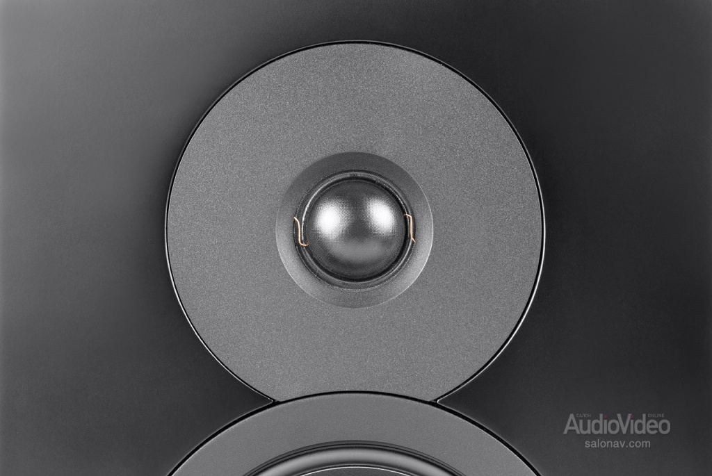 Dynaudio_Emit_50_07.jpg