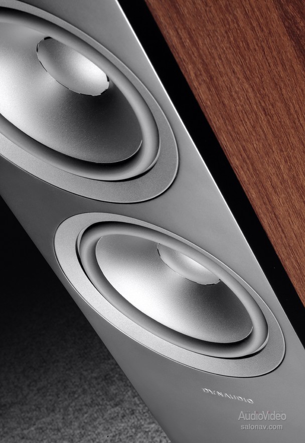 Dynaudio_Emit_50_10.jpg