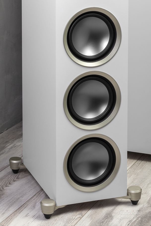 MartinLogan_Motion_Foundation_F2_4770.jpg