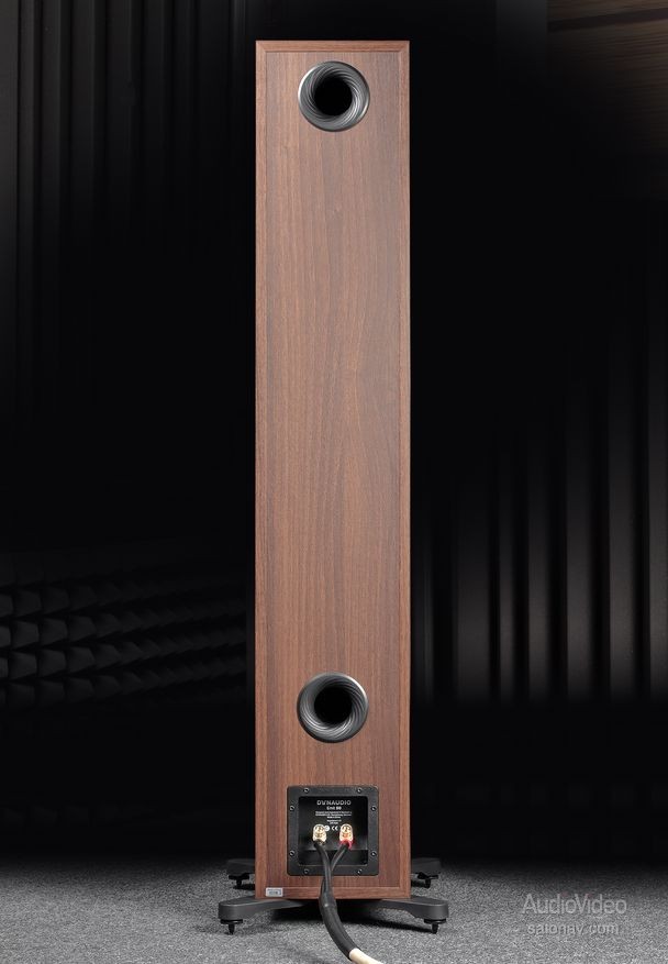 Dynaudio_Emit_50_13.jpg