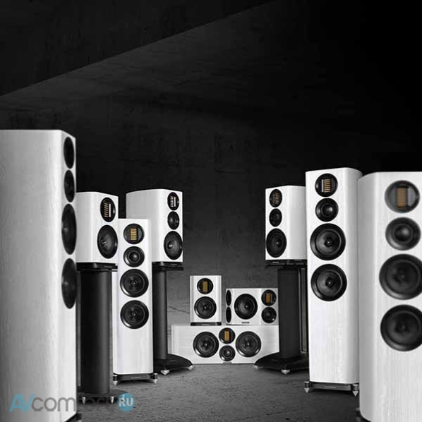 Wharfedale EVO 4.3 White Oak