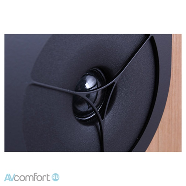 REGA RX1 Black Ash