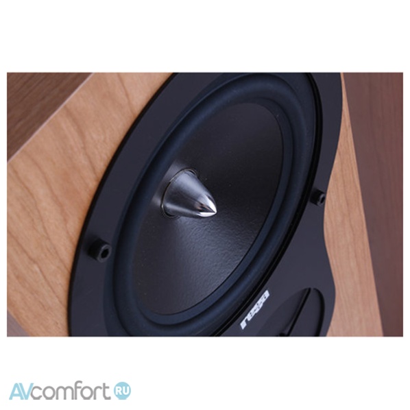 REGA RX3 Black Ash