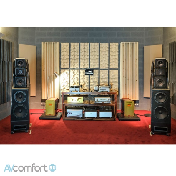 WILSON AUDIO Alexx V Специальное цветовое исполнение