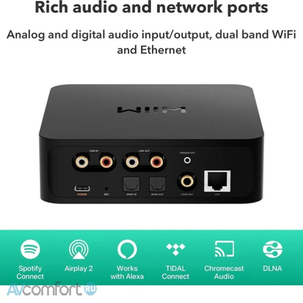 WiiM Pro Plus