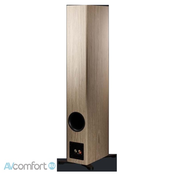 Dynaudio Evoke 50 Blonde