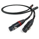 Chord Company Signature X Tuned ARAY XLR 1.0 m