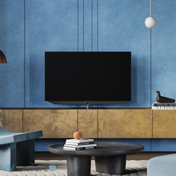 Loewe Bild v.48 dr+ Basalt Grey