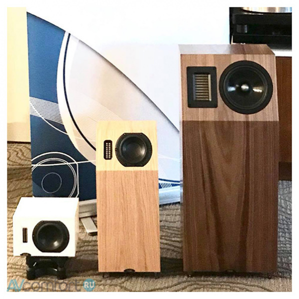 Neat Acoustics Iota Xplorer Natural Oak