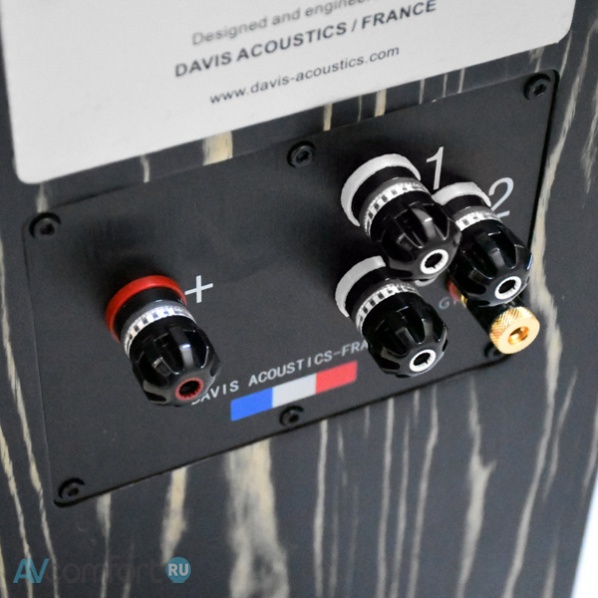 Davis Acoustics MV One Master Tamo Ash