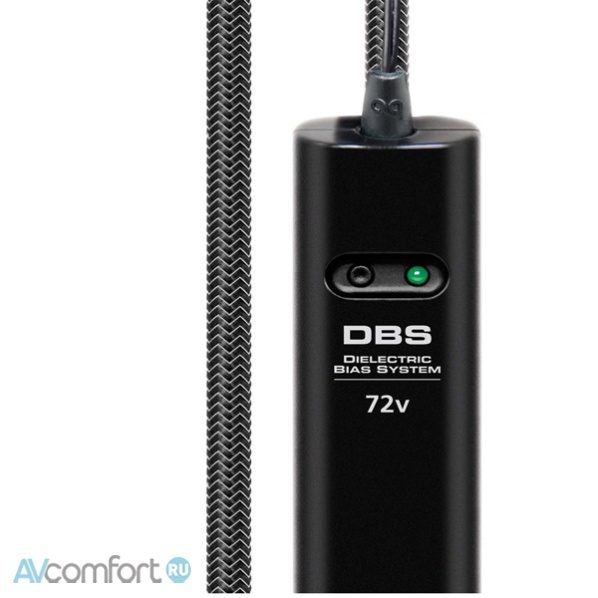 AudioQuest Angel Jack-2RCA 8 м