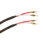 Tchernov Cable Reference DSC SC Bn/Bn 4,35 m