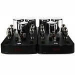 Ayon Audio Triton Evo Mono KT150
