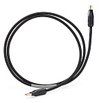 Shunyata Research Theta USB 1,5 m