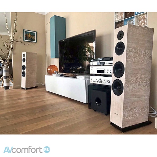 Pylon Audio Diamond 30 mkII Oak