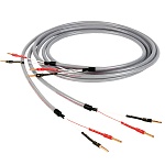 Chord Company Shawline Speaker bulk