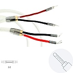 Atlas Cables Asimi Silver wired 2 х 2 Z-Plug 3,0 m