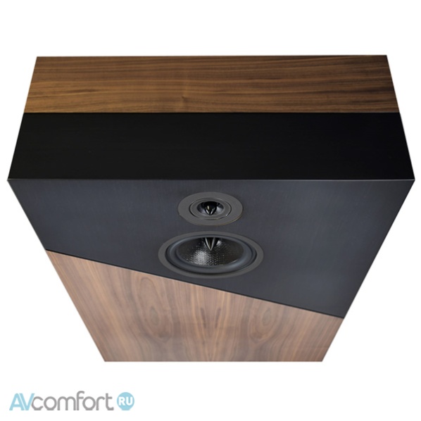 Davis Acoustics The Wall Iceball Ebony