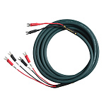 Cardas Audio Parsec 2 m Spade