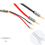 Atlas Cables Ascent 2.0 Z-Plug 2,0 m