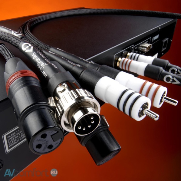Chord Company Signature X Tuned ARAY XLR 1.0 m