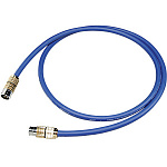 Cardas Audio Clear IC XLR 0,5 m