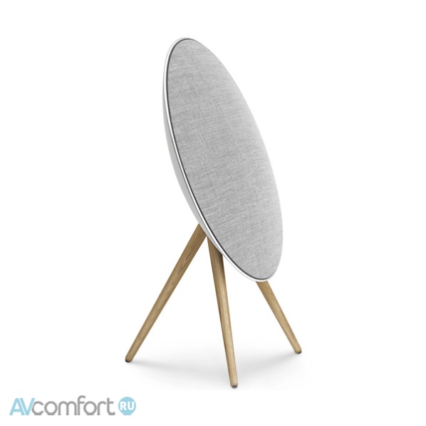 Bang & Olufsen Beosound A9 5th Gen Natural ALuminium