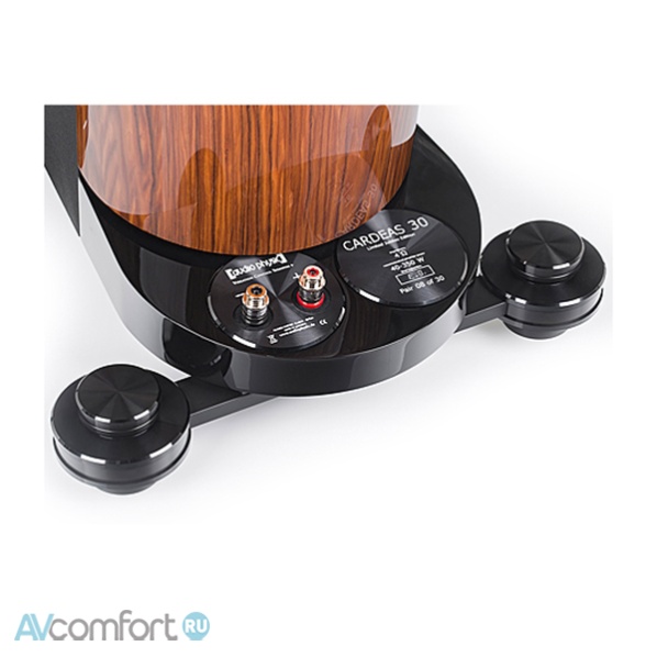 AUDIO PHYSIC Cardeas 30 Walnut