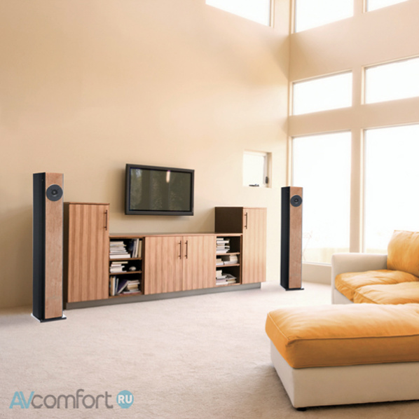 BRODMANN Model VC 1 Walnut