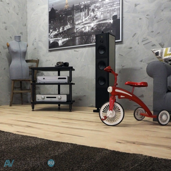 Bassocontinuo Classic Line Viella 2.1
