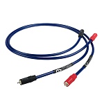 Chord Company Clearway Analogue RCA 0,5 m