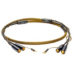 Zavfino Gold Rush Phono Cable DIN-XLR 1,5 m