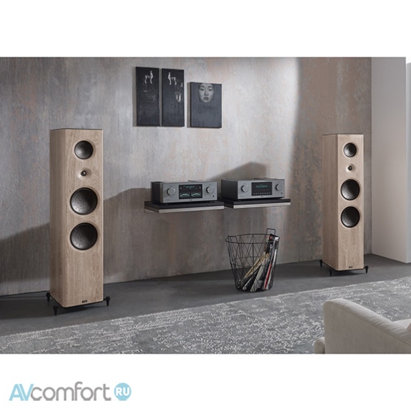 T+A Criterion S 2100 CTL Walnut Dark 81