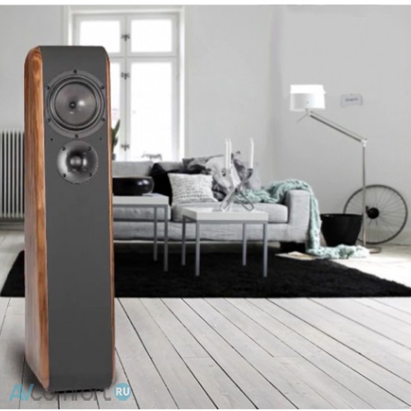 Chario Cielo Walnut
