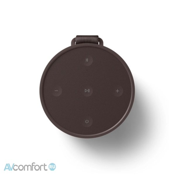 Bang & Olufsen Beosound Explore Chestnut