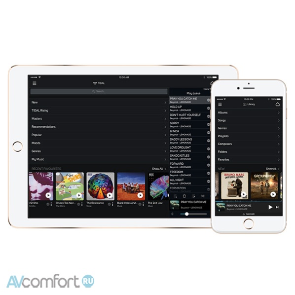 BLUESOUND Pulse 2i Black
