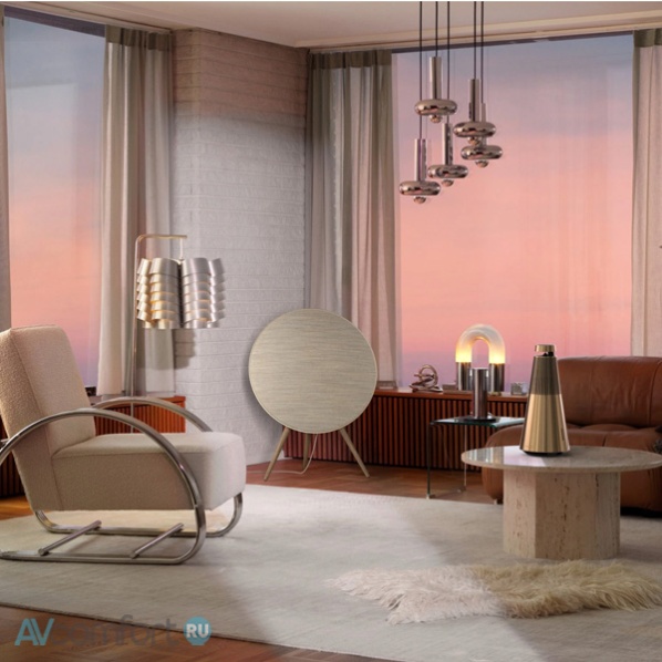 Bang & Olufsen Beosound A9 5th Gen Natural ALuminium