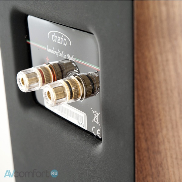 Chario Delphinius MKII Walnut