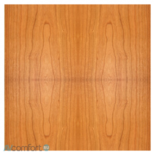 ATC SCM300 SLT Cherry