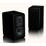 QUAD S-1 Black Gloss