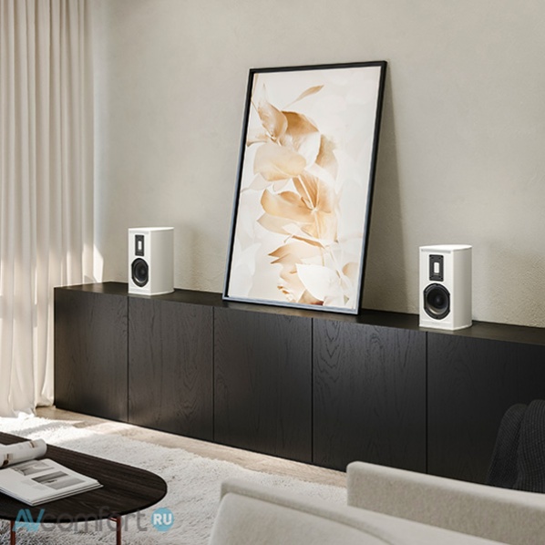 Piega Premium 301 Wireless Gen 2 AB
