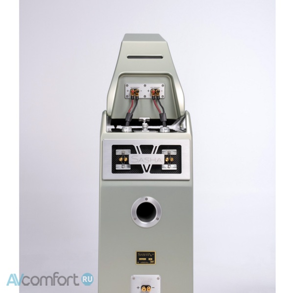 WILSON AUDIO Sasha V Standart Colour