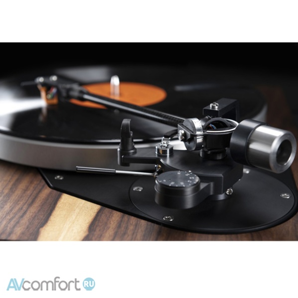 Dual Primus Maximus Walnut Wave