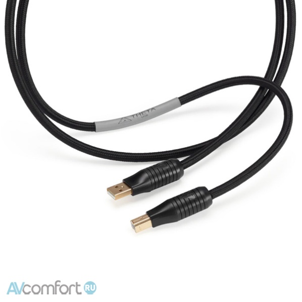 Shunyata Research Theta USB 1,5 m