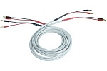 Black Rhodium Jive White 2,5 м