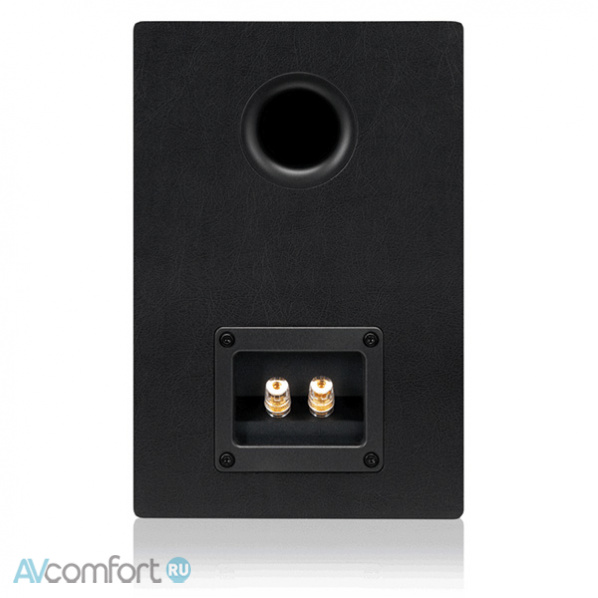EMOTIVA Airmotiv B1+